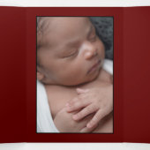 ヴィンテージバードケージ4フォトコラージュベビー誕生 三つ折り案内状 (内部中)