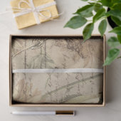 ヴィンテージバードコラージュティッシュペーパー 薄葉紙 (ギフト)