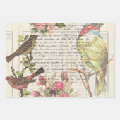 ヴィンテージバードデカップボタニカルエフェメラ ラッピングペーパーシート (正面2)