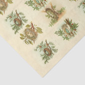ヴィンテージバードネストイラストデクページ紙 薄葉紙 (詳細)