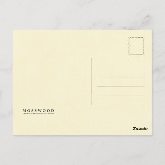 ヴィンテージバードネストイラストレーション ポストカード (裏面)