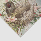 ヴィンテージバードネストガールフランスのスクリプトの切り離し 薄葉紙 (詳細)