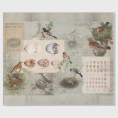 ヴィンテージバードネストスクリプトエフェメラエッグスデコパージュ ラッピングペーパー (フラット)