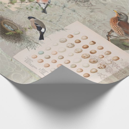 ヴィンテージバードネストスクリプトエフェメラエッグスデコパージュ ラッピングペーパー (角)