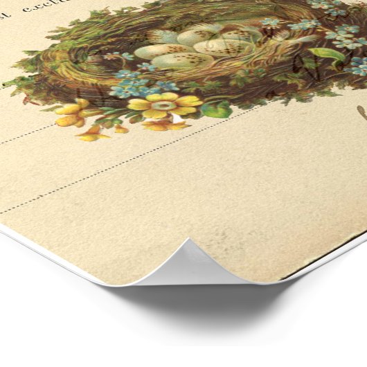 ヴィンテージバードネストフランスのはがきアートプリント ポスター (角)