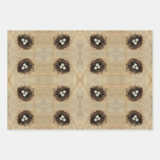 ヴィンテージバードネスト古いアンティーク茶色の卵 ラッピングペーパーシート (正面3)