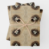 ヴィンテージバードネスト古いアンティーク茶色の卵 ラッピングペーパーシート (インサイチュ)