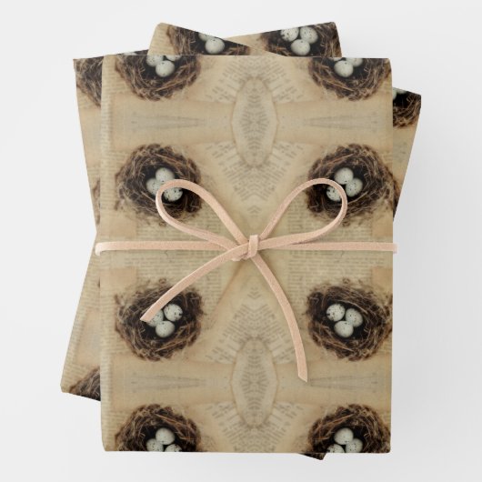 ヴィンテージバードネスト古いアンティーク茶色の卵 ラッピングペーパーシート (インサイチュ)
