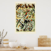 ヴィンテージバードバイアドルフミロ ポスター (キッチン)