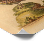 ヴィンテージバードブラウン蝶イエロープリント ポスター (角)