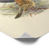 ヴィンテージバードブラックブラウンプリント ポスター (角)