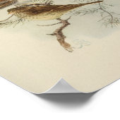 ヴィンテージバードブラックブラウンホワイトプリント ポスター (角)