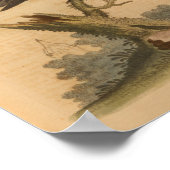 ヴィンテージバードブラックレッドプリント ポスター (角)