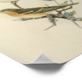 ヴィンテージバードブルーブラウンホワイトプリント ポスター (角)