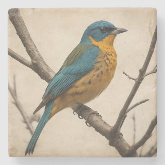 ヴィンテージバードプリントストーンコースター ストーンコースター (正面)
