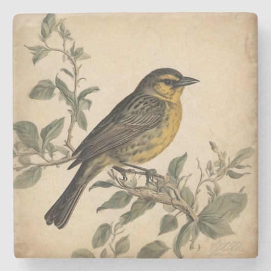 ヴィンテージバードプリントストーンコースター ストーンコースター (正面)
