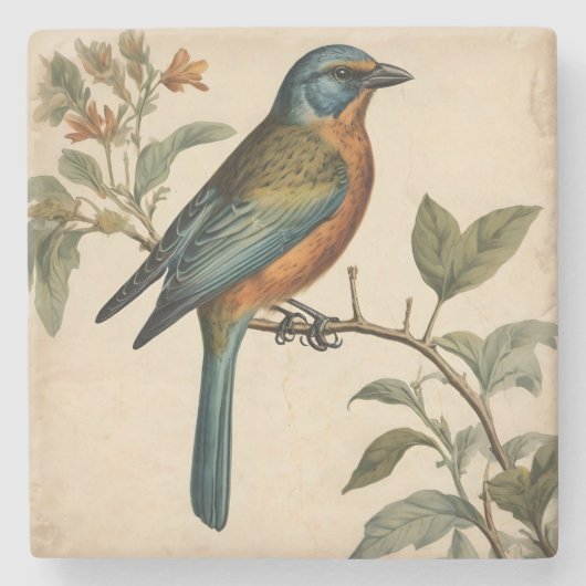 ヴィンテージバードプリントストーンコースター ストーンコースター (正面)