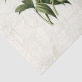 ヴィンテージバードボタニカルフラワーエフエメラデクページ 薄葉紙 (詳細)