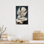 ヴィンテージバードポスターウォールアート – アイスランドジェ《鳥》ハヤブサ ポスター (キッチン)