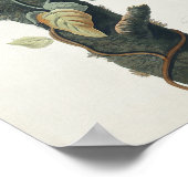 ヴィンテージバードポスターウォールアート – Columbia Jay Bird ポスター (角)