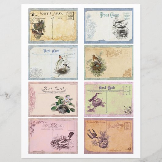 ヴィンテージバードポストカードATCカードスクラップブック紙 (正面)