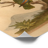 ヴィンテージバードレッドグリーンパロッツプリント ポスター (角)