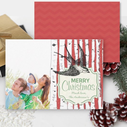 ヴィンテージバード樺の木ツリー写真クリスマスカード シーズンカード