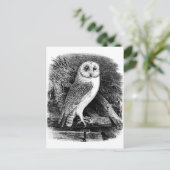 ヴィンテージバーフクロウイラストレーション ポストカード (スタンド正面)