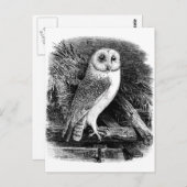 ヴィンテージバーフクロウイラストレーション ポストカード (正面/裏面)