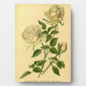 ヴィンテージバーボンバラ桃&クリームフローラ自然 フォトプラーク (正面)