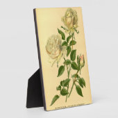 ヴィンテージバーボンバラ桃&クリームフローラ自然 フォトプラーク (側面)