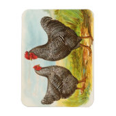 ヴィンテージバーレッドプリマスロックチキン マグネット (縦)