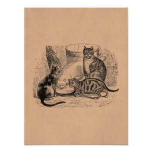 ヴィンテージバーンキャッツ1800s猫イラストレーションテンプレート フォトプリント           