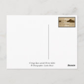 ヴィンテージバーンドウアウトウィザーアイダホ ポストカード (裏面)