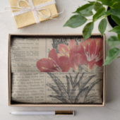 ヴィンテージパイナップル新聞 薄葉紙 (ギフト)