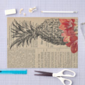 ヴィンテージパイナップル新聞 薄葉紙 (クラフト)