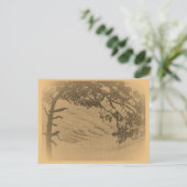 ヴィンテージパインのシルエット、日の出 ポストカード (スタンド正面)
