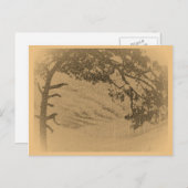 ヴィンテージパインのシルエット、日の出 ポストカード (正面/裏面)