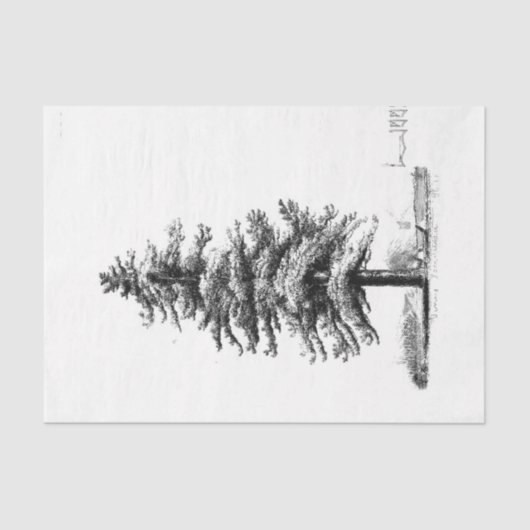 ヴィンテージパインツリーエフェメラデクページ 薄葉紙 (正面)