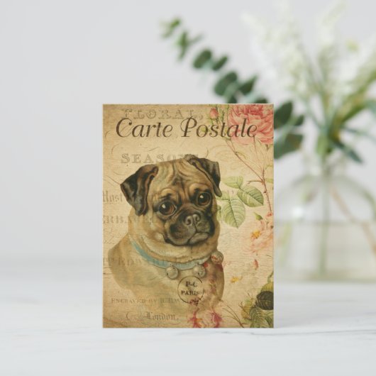 ヴィンテージパグドッグフローラフランスのカルテポストエール ポストカード (スタンド正面)