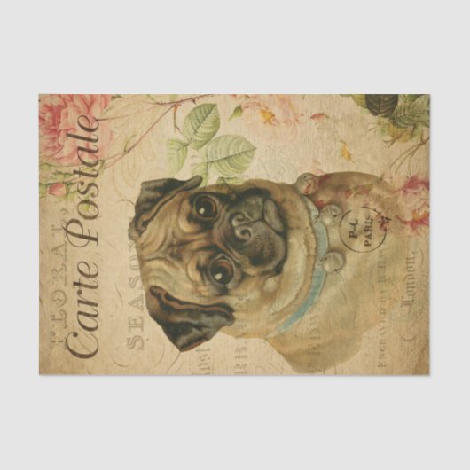 ヴィンテージパグドッグフローラフランスのカルテポストエール 薄葉紙 (正面)