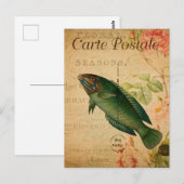ヴィンテージパステルグリーンラッセフィッシュフランスのフローラ ポストカード (正面/裏面)