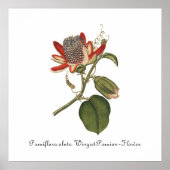 ヴィンテージパッションフラワーイラストレーション ポスター (正面)