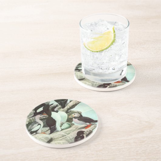 ヴィンテージパフィンと水中競技バード コースター (側面)