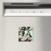 ヴィンテージパフィンと水中競技バード マグネット (インサイチュ (食洗機))