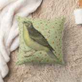 ヴィンテージパラケートオンフォークアートパターン クッション (ブランケット)