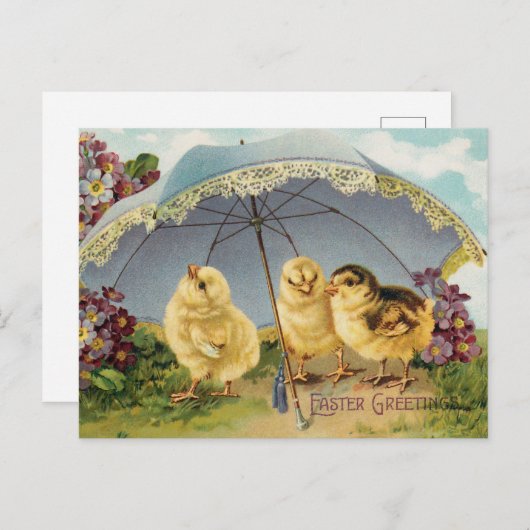 ヴィンテージパラソルの下の復活祭のかわいい雛 ポストカード (正面/裏面)