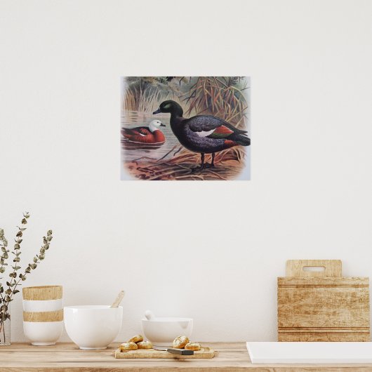 ヴィンテージパラダイスシェルダック ポスター (キッチン)