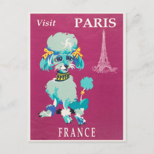 ヴィンテージパリフランスポフランスのードル ポストカード