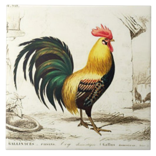 ヴィンテージパリロスターホームデコールタイル タイル (正面)